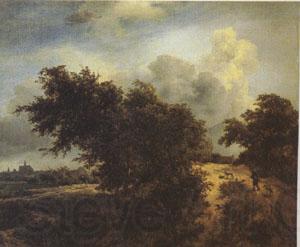 Jacob van Ruisdael The Bush (mk05)